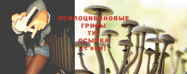 марки lsd Инта