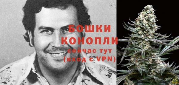 бошки Каменка