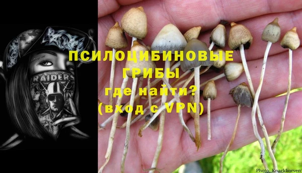 марки lsd Инта