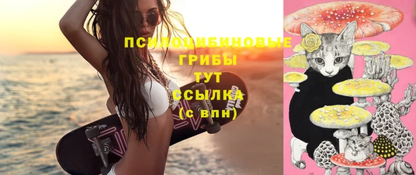 марки lsd Инта