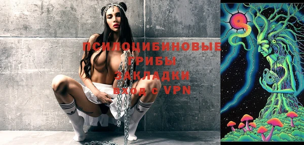 марки lsd Инта