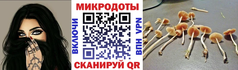Купить где Далматово Галлюциногенные грибы мухоморы